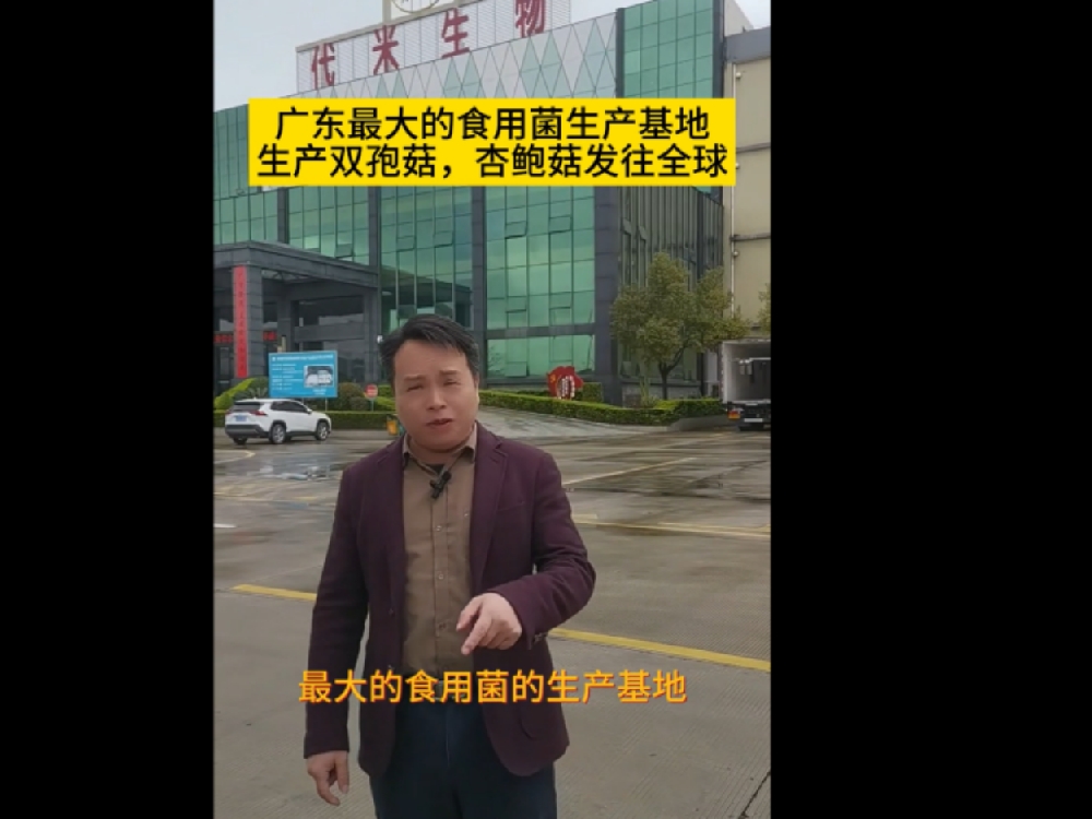 廣東最大的食用菌生產基地，代米生物真空預冷機使用現場